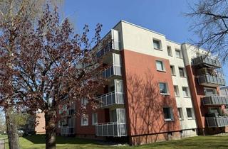 Wohnung mieten in Berliner Straße 83, 25421 Pinneberg, 1-Zi-Whg 1. OG mit Feierabendbalkon in Pinneberg-Nord