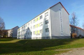 Wohnung mieten in Mahrholzberg 23, 38871 Ilsenburg, Sanierte 4-Raum-Wohnung am Mahrholzberg