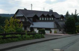 Wohnung mieten in 57271 Hilchenbach, Gehobene, großzügige, schicke 2-Zimmer-Dachgeschosswohnung mit Balkon und EBK in Hilchenbach