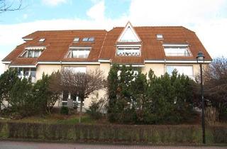 Wohnung mieten in Kleinwolmsdorfer Straße 19, 01454 Radeberg, Ruhige, großzügige 2-Raum-Dachgeschoss-Wohnung mit Einbauküche
