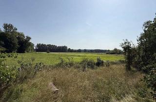 Mehrfamilienhaus kaufen in 61130 Nidderau, Top Kapitalanlage: 2 Mehrfamilienhäuser mit Nebengebäude