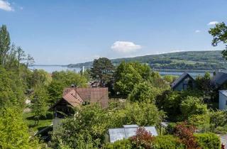 Einfamilienhaus kaufen in 78343 Gaienhofen, Den See zu Füßen - Freistehendes, modernes Einfamilienhaus in naturnaher Lage