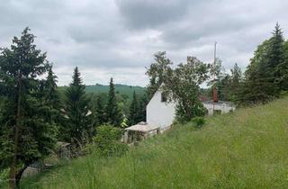 Einfamilienhaus kaufen in Am Burgberg 37, 04749 Zschochau, Einfamilienhaus mit großem Grundstück & Nebengebäuden, Garagen idyllisch in Zschaitz, Nähe Döbeln