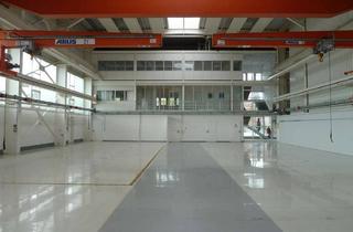 Gewerbeimmobilie mieten in 73033 Göppingen, Hochwertige Produktions- und Montagehalle mit Kranbahnen bis 32 t