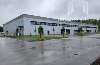 Büro zu mieten in Siemensstraße, 35447 Reiskirchen, Lagerhallen mit Bürogalerie XL Variante Neubau 2025