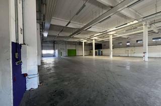 Gewerbeimmobilie mieten in Robert-Bunsen-Str. 41/43, 64579 Gernsheim, *PROVISIONSFREI* - Direkt vom Eigentümer - Gewerbehalle in Gernsheim