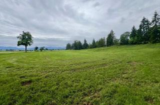 Grundstück zu kaufen in 82387 Antdorf, Ihr Stück Natur mit Viehunterstand und Bergpanorama!