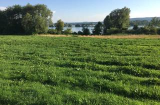 Grundstück zu kaufen in Radolfzeller Straße, 78315 Radolfzell, Grünland Wiese direkt am Bodensee