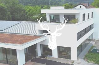Büro zu mieten in 79761 Waldshut-Tiengen, Erstklassige Büroflächen mit modernster Ausstattung in Tiengen zu vermieten