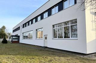 Büro zu mieten in 16761 Hennigsdorf, Helle, offene, ebenerdige Produktions-/ Werks-/ Bürofläche mit allen Anschlüssen inkl. Strom