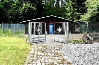 Gewerbeimmobilie kaufen in 01689 Weinböhla, Hundezüchter, Hundetrainer, Hundeliebhaberaufgepasst! Ihre Chance zurExpansion Ihres Gewerbes!