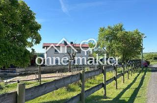 Lager kaufen in 34633 Ottrau, Wunderschön gelegene kleine Reitanlage mit Einfamilienhaus