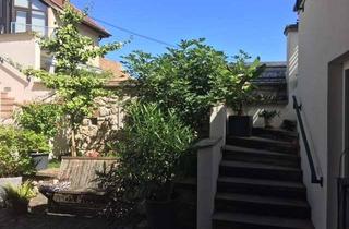 Wohnung mieten in Jahnstraße 10, 55294 Bodenheim, 650 €, 50 m², 2 Zimmer in traumhaftem Ambiente