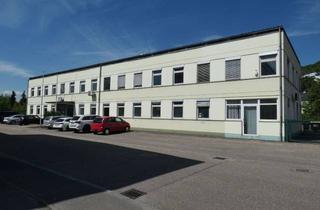 Gewerbeimmobilie mieten in Neuer Weg, 75223 Niefern-Öschelbronn, Für leichte Produktion - Lift - Stellplätze