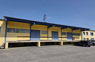 Gewerbeimmobilie mieten in 83451 Piding, Lagerhalle in Piding