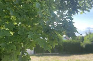 Grundstück zu kaufen in 86420 Diedorf, Seltene Gelegenheit - Grundstück Top-Lage Anhausen