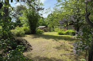 Grundstück zu kaufen in 16359 Biesenthal, DEUTSCHMANN IMMOBILIEN ***** ivd - Sonniges Baufeld mit Bungalow in ruhiger Lage von Biesenthal!