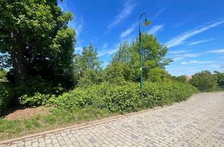 Grundstück zu kaufen in 38889 Wienrode, Grundstück für Einfamilienhaus und Gartenland in Waldnähe!