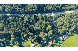 Grundstück zu kaufen in 82327 Tutzing, Tutzing - FREIZEIT ODER FORSTWIRTSCHAFT - IHRE WAHL