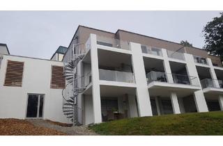 Wohnung mieten in 89407 Dillingen, Dillingen - 3-Zi-Wohnung in top Hanglage mit großer Terasse im Zentrum von Dillingen