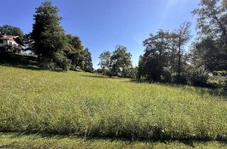 Grundstück zu kaufen in 82069 Schäftlarn, Top Baugrundstück mit vielseitigen Möglichkeiten!