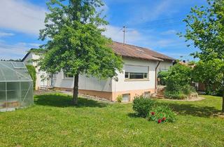 Einfamilienhaus kaufen in 89168 Niederstotzingen, Niederstotzingen - Großes Haus mit traumhaftem Grundstück in Stetten