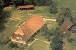 Immobilie kaufen in 31603 Diepenau, Diepenau - Historischer Niedersachsen- Bauernhof in Fachwerk mit Pferdeboxen u. tollen Eichenbaumbestand