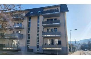 Wohnung kaufen in 01705 Freital, Freital - Moderner Neubau - sehr gut vermietet!