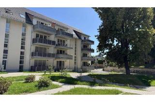 Wohnung kaufen in 01705 Freital, Freital - Moderner Neubau - sehr gut vermietet!