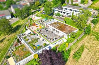 Wohnung kaufen in 77887 Sasbachwalden, Panoramablick inklusive – Stilvolles Terrassenhaus in Sasbachwalden