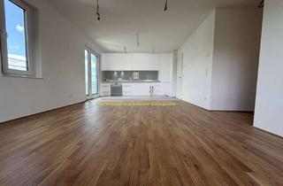 Wohnung mieten in 61440 Oberursel, Erstbezug! Exklusive 2-Zimmer-Neubauwohnung mit Einbauküche, Walk-in Dusche & TG in Oberursel