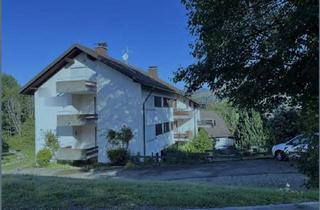 Wohnung mieten in 79872 Bernau, Exklusive 1-Zimmer-Wohnung mit Balkon und Einbauküche in Bernau im Schwarzwald