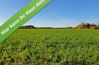 Haus kaufen in Breite Straße, 38543 Hillerse, Ein Komforthaus für jedermann im kommenden Baugeb. in Volkse.