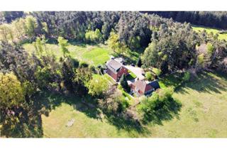 Haus kaufen in 48477 Hörstel, Zwei Häuser, ein Preis - inkl. 2,6 Hektar Wiesen und Wald