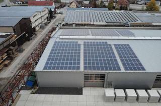 Gewerbeimmobilie mieten in Werkstraße, 96199 Zapfendorf, Lagerhalle (auch Teilfläche möglich) inkl. Lagerregale | Gewerbegebiet West II Zapfendorf