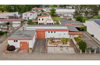 Gewerbeimmobilie kaufen in 67454 Haßloch, Gewerbe & Wohnen auf einem Grundstück - Zwei Hallen mit Büroflächen & exklusive Wohnoase