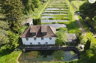 Anlageobjekt in 88416 Ochsenhausen, Wasserreiches Naturjuwel in Alleinlage bei Ochsenhausen – 6,3 ha großes Anwesen mit 42 Fischbecken