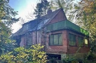 Einfamilienhaus kaufen in 29451 Dannenberg, Dannenberg (Elbe) Seybruch - VERWUNSCHENE FAMILIENOASE IM GRÜNEN