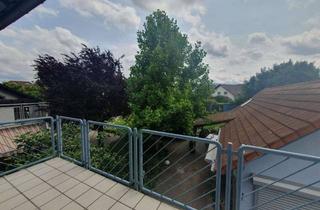 Wohnung mieten in 76456 Kuppenheim, Frisch renovierte 3,5-Zimmer-Wohnung mit Südbalkon im Herzen von Kuppenheim