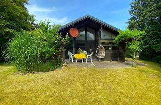 Haus kaufen in 31515 Wunstorf, Wunstorf - Skandinavisches Holzhaus mit Garten in traumhafter Lage am Steinhuder Meer