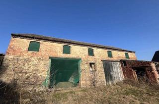 Mehrfamilienhaus kaufen in 01328 Dresden, Dresden - Historische Scheune mit Baugenehmigung - Ihr Traum vom Ein- oder Mehrfamilienhaus im Einzeldenkmal