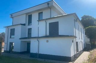 Wohnung kaufen in 57632 Flammersfeld, Flammersfeld - Neubau Eigentumswohnung, EG schwellenfrei in 57632 Flammersfeld