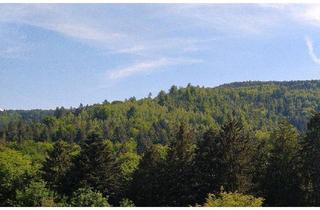 Wohnung kaufen in 76332 Bad Herrenalb, Bad Herrenalb - Sehr schöne ETW mit traumhafter Aussicht!