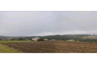 Einfamilienhaus kaufen in 54558 Gillenfeld, Gillenfeld - landwirtschaftliches Anwesen 5,5 ha vielseitig nutzbar