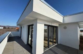 Penthouse kaufen in 34225 Baunatal, Baunatal - Penthouse Charakter A+ Energieeffizienz und Erstbezug - 2-Zimmer, Küche, Bad und Dachterrasse in Baunatal Großenritte