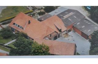 Haus kaufen in 31628 Landesbergen, Freundliches und saniertes 6-Zimmer-Haus in 31628, Landesbergen - Brokeloh