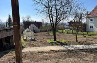 Einfamilienhaus kaufen in Einhornstraße, 86660 Tapfheim, Solides, Preiswertes Einfamilienhaus in entspannter Lage