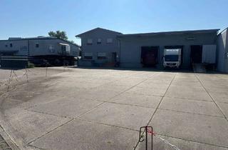 Gewerbeimmobilie kaufen in 76829 Leinsweiler, Lagerhallen mit Büro/Wohnnutzung
