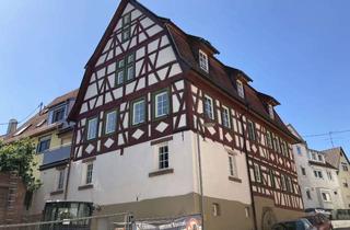 Wohnung mieten in 71665 Vaihingen an der Enz, Idyllische 2,5-Zimmer-Wohnung mit Balkon und EBK in Vaihingen an der Enz
