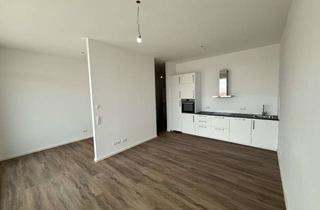 Wohnung mieten in Hauptstraße 56, 85235 Odelzhausen, Geschmackvolle 1,5-Zimmer-Dachterrassenwohnung mit EBK in Egenburg